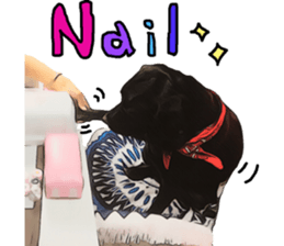 Black Labrador OHANA3 sticker #13818529