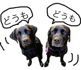 Black Labrador OHANA3 sticker #13818533