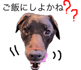 Black Labrador OHANA3 sticker #13818534
