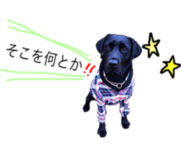 Black Labrador OHANA3 sticker #13818535