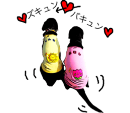 Black Labrador OHANA3 sticker #13818537