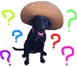 Black Labrador OHANA3 sticker #13818539