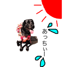 Black Labrador OHANA3 sticker #13818541