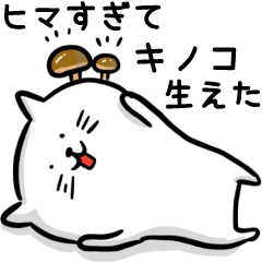 Attention seeker cat's