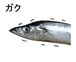 Move Pacific saury sticker #13818977