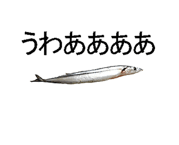 Move Pacific saury sticker #13818982