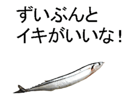 Move Pacific saury sticker #13818986