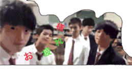 Caterpillar of special sticker #13819515