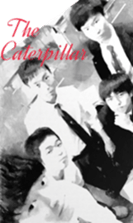 Caterpillar of special sticker #13819516