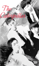 Caterpillar of special sticker #13819516