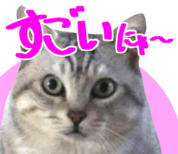 A little fat cat,Moon 2 sticker #13821600