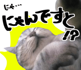 A little fat cat,Moon 2 sticker #13821603