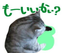 A little fat cat,Moon 2 sticker #13821606