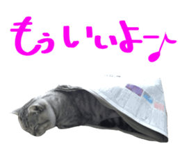 A little fat cat,Moon 2 sticker #13821608