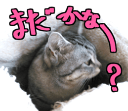 A little fat cat,Moon 2 sticker #13821615