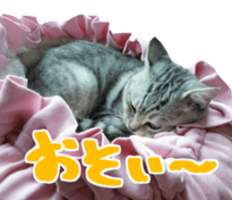 A little fat cat,Moon 2 sticker #13821616