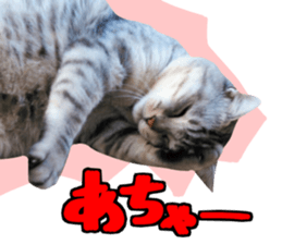 A little fat cat,Moon 2 sticker #13821621