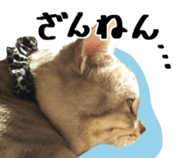 A little fat cat,Moon 2 sticker #13821626