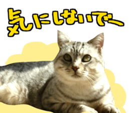 A little fat cat,Moon 2 sticker #13821628