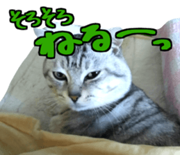 A little fat cat,Moon 2 sticker #13821636