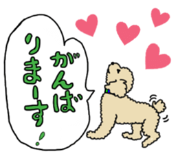 SORA THE PUDLE sticker #13823587