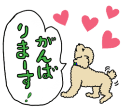 SORA THE PUDLE sticker #13823587