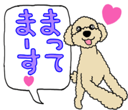 SORA THE PUDLE sticker #13823590