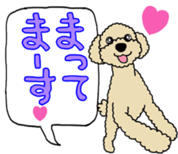 SORA THE PUDLE sticker #13823590