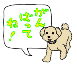 SORA THE PUDLE sticker #13823591