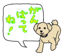 SORA THE PUDLE sticker #13823591