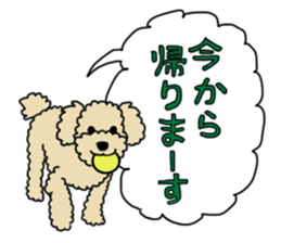 SORA THE PUDLE sticker #13823593