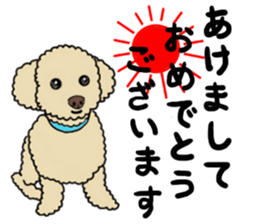 SORA THE PUDLE sticker #13823597