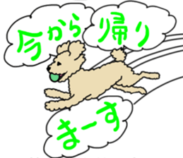 SORA THE PUDLE sticker #13823605