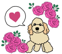 SORA THE PUDLE sticker #13823611