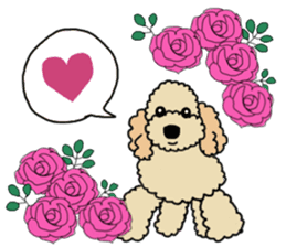 SORA THE PUDLE sticker #13823611
