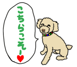 SORA THE PUDLE sticker #13823619