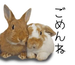 Pi-chan and Muu-chan's daily life sticker #13824614