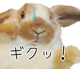 Pi-chan and Muu-chan's daily life sticker #13824616