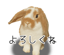 Pi-chan and Muu-chan's daily life sticker #13824624