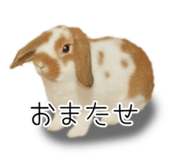 Pi-chan and Muu-chan's daily life sticker #13824625