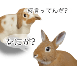 Pi-chan and Muu-chan's daily life sticker #13824629