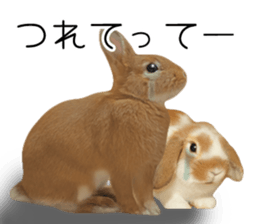 Pi-chan and Muu-chan's daily life sticker #13824631