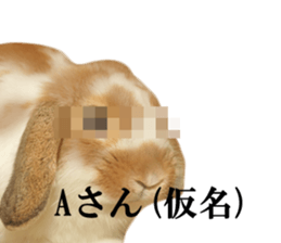 Pi-chan and Muu-chan's daily life sticker #13824633