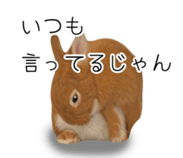 Pi-chan and Muu-chan's daily life sticker #13824636