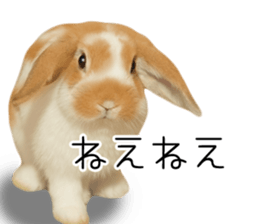 Pi-chan and Muu-chan's daily life sticker #13824639