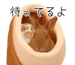 Pi-chan and Muu-chan's daily life sticker #13824642