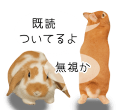 Pi-chan and Muu-chan's daily life sticker #13824645