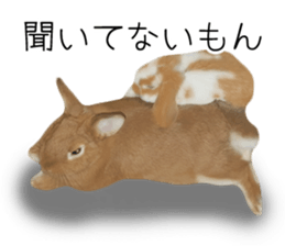 Pi-chan and Muu-chan's daily life sticker #13824646