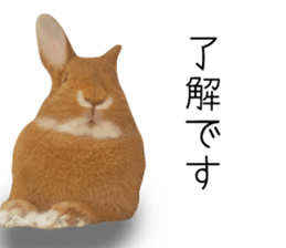 Pi-chan and Muu-chan's daily life sticker #13824647