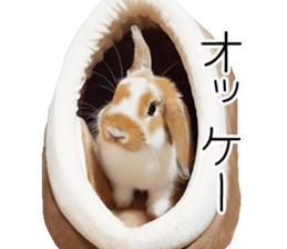 Pi-chan and Muu-chan's daily life sticker #13824648